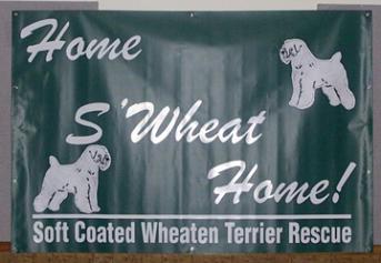 Our new Rescue Banner!