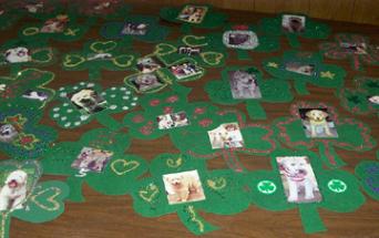 Completed Shamrocks - each one had a picture of one of the rescue dogs on it.
