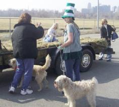 Getting ready to jump on the float, (l to r) Jane with Rufus, Kim with Bridget, Casey on the float and Jessica at the end